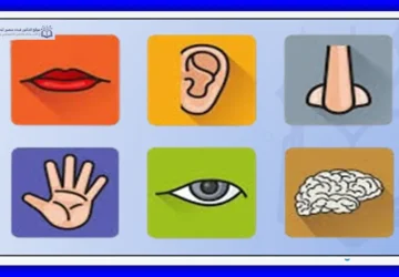 التراسل الحسي في الشعر اليمني المعاصر